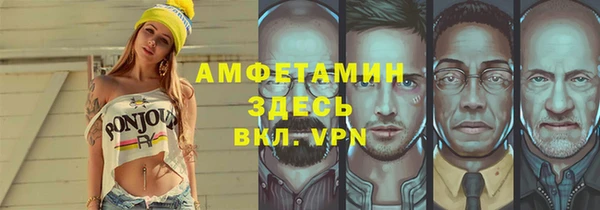сатива Дмитриев