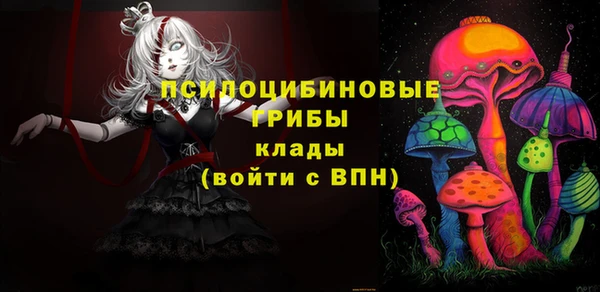 сатива Дмитриев
