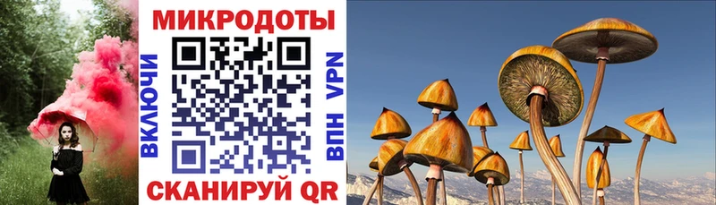 Купить где  Нурлат  Галлюциногенные грибы GOLDEN TEACHER 