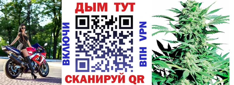 Купить где  Нурлат  Канабис сатива 